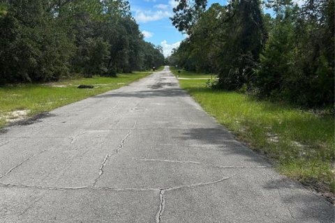 Terrain à vendre à Ocala, Floride № 1901631 - photo 5