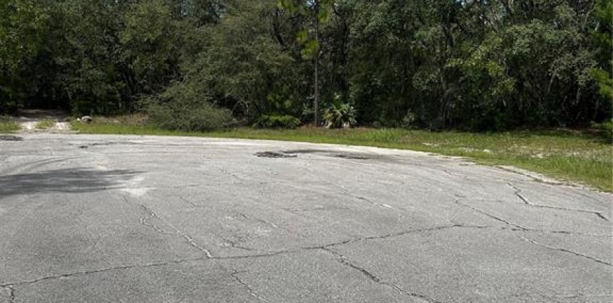 Terrain à Ocala, Floride № 1901631