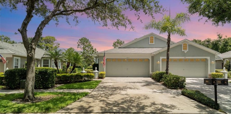 House in Fish Hawk, Florida 3 bedrooms, 159.79 sq.m. № 1807969