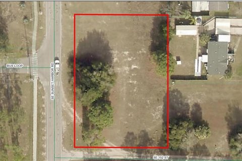 Land in Summerfield, Florida № 1787445 - photo 1