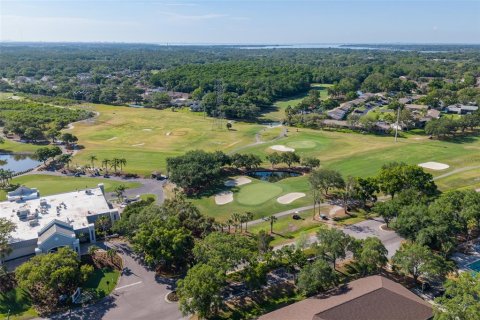 Condo in Oldsmar, Florida, 2 bedrooms  № 2222988 - photo 24