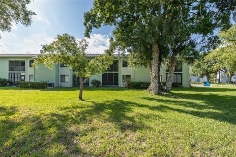 Condo in Oldsmar, Florida, 2 bedrooms  № 2222988 - photo 25