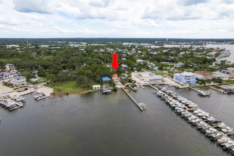 House in Palm Harbor, Florida 5 bedrooms, 389.07 sq.m. № 2118207 - photo 3
