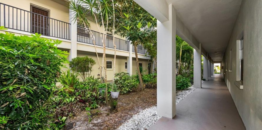 Condo à Dunedin, Floride, 2 chambres № 2233207