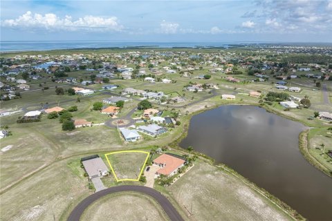 Terreno en venta en Punta Gorda, Florida № 2239821 - foto 9