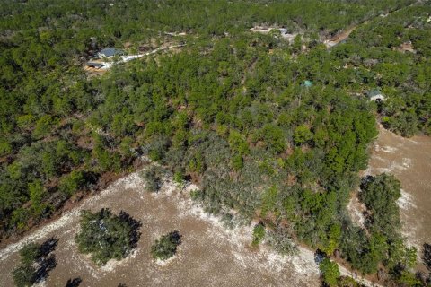 Terrain à vendre à Beverly Hills, Floride № 2213487 - photo 4