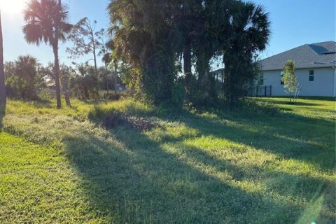 Land in Rotonda, Florida № 1721009 - photo 8