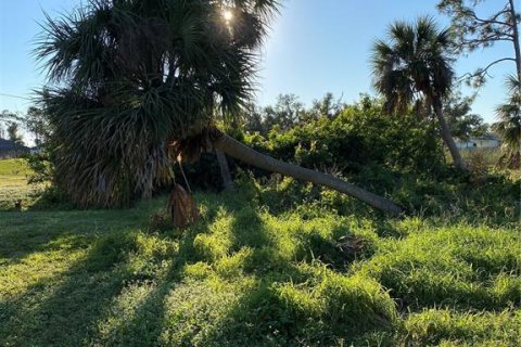 Land in Rotonda, Florida № 1721009 - photo 7