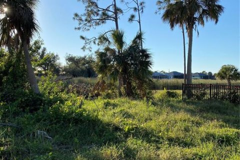 Land in Rotonda, Florida № 1721009 - photo 9