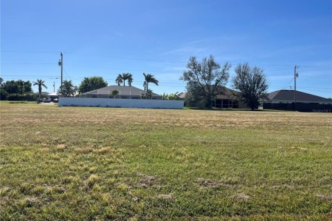 Land in Cape Coral, Florida № 1554088 - photo 3