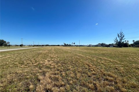 Land in Cape Coral, Florida № 1554088 - photo 6