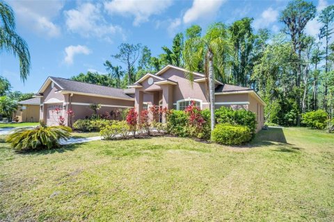 Casa en venta en Odessa, Florida, 4 dormitorios, 205.87 m2 № 1644348 - foto 4