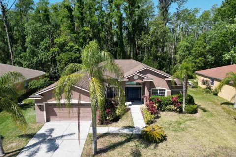 Casa en venta en Odessa, Florida, 4 dormitorios, 205.87 m2 № 1644348 - foto 1