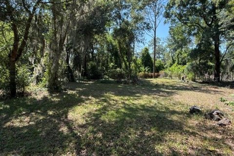 House in Umatilla, Florida 4 bedrooms, 218.04 sq.m. № 2113947 - photo 30