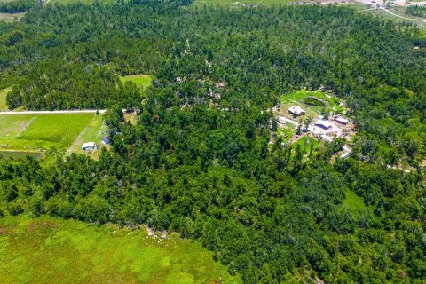 Land in Jennings, Florida № 2229817 - photo 11
