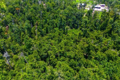 Land in Jennings, Florida № 2229817 - photo 9