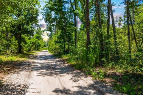 Land in Jennings, Florida № 2229817 - photo 2