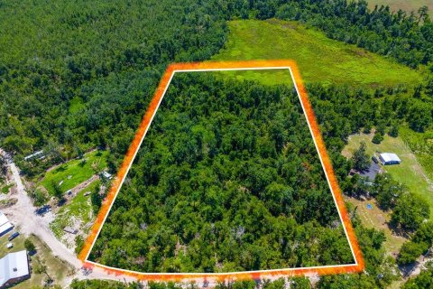 Land in Jennings, Florida № 2229817