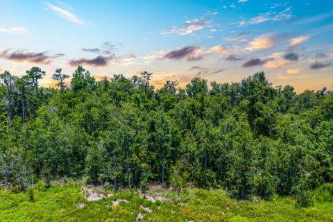 Land in Jennings, Florida № 2229817 - photo 3