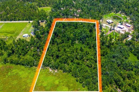 Land in Jennings, Florida № 2229817 - photo 7