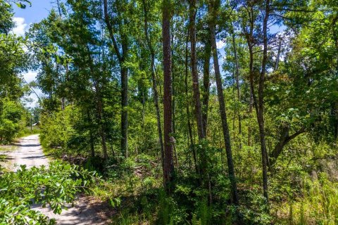 Land in Jennings, Florida № 2229817 - photo 6