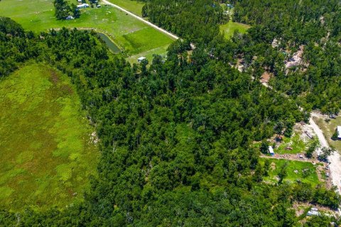 Land in Jennings, Florida № 2229817 - photo 10