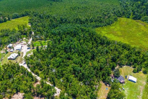 Land in Jennings, Florida № 2229817 - photo 14