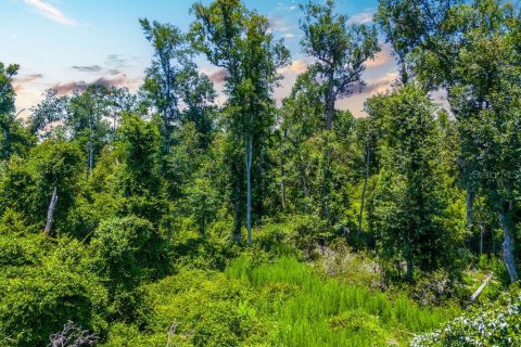 Land in Jennings, Florida № 2229817 - photo 4