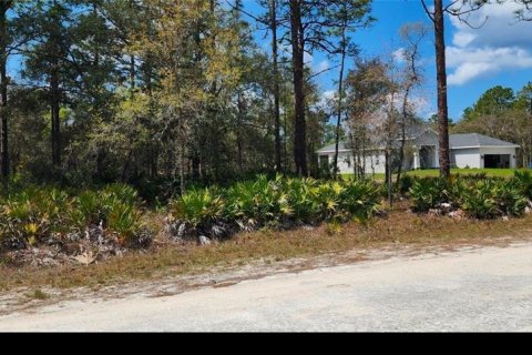 Terreno en Brooksville, Florida № 2166975