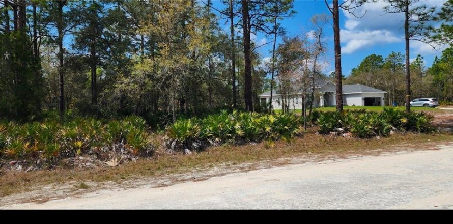 Terreno en Brooksville, Florida № 2166975