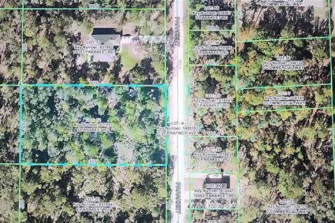 Terreno en venta en Brooksville, Florida № 2166975 - foto 3