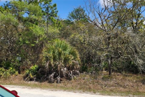 Terreno en venta en Brooksville, Florida № 2166975 - foto 2