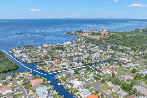 Villa ou maison à vendre à Palm Harbor, Floride: 3 chambres, 154.59 m2 № 2402981 - photo 3