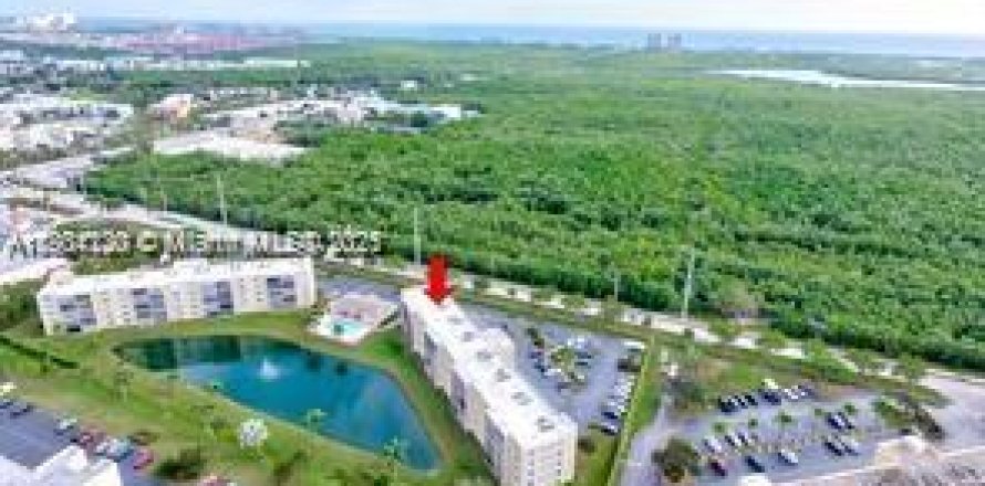 Condo in Dania Beach, Florida, 2 bedrooms  № 1689528