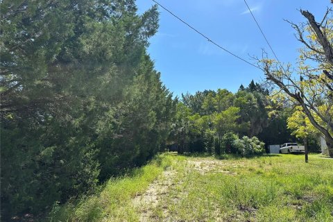 Terreno en venta en Weeki Wachee, Florida № 1850104 - foto 4