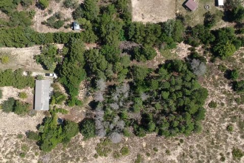 Terreno en venta en Weeki Wachee, Florida № 1850104 - foto 2