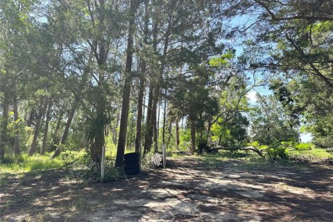 Terreno en venta en Weeki Wachee, Florida № 1850104 - foto 7