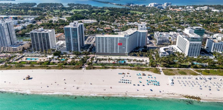 Studio à Condo à Miami Beach, Floride № 1845665