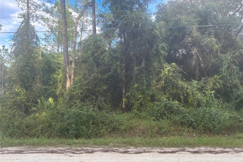Land in Webster, Florida № 737118 - photo 1