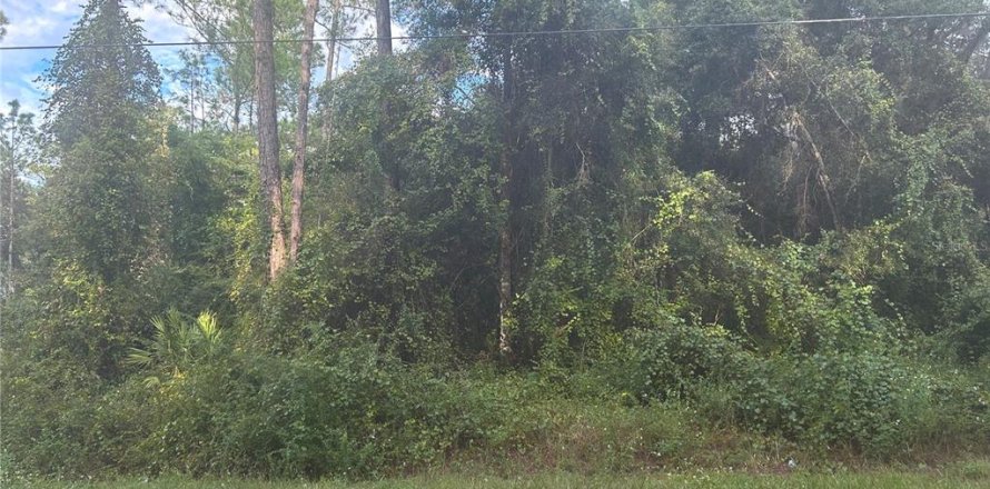 Land in Webster, Florida № 737118