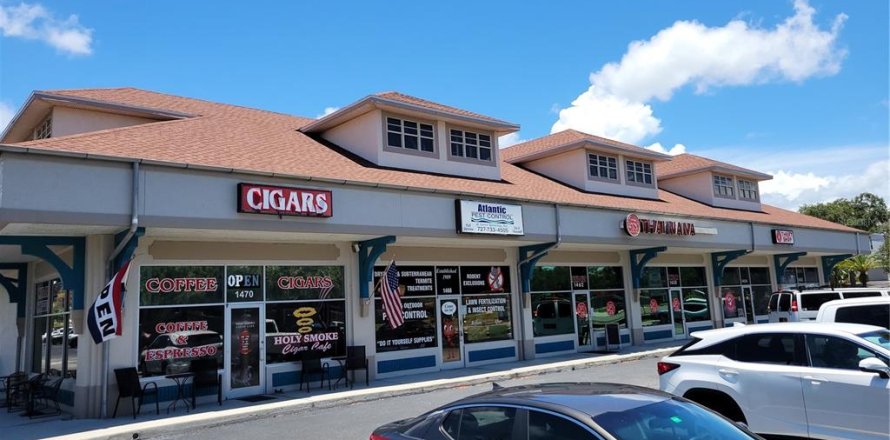 Propiedad comercial en Palm Harbor, Florida 661.84 m2 № 1881395