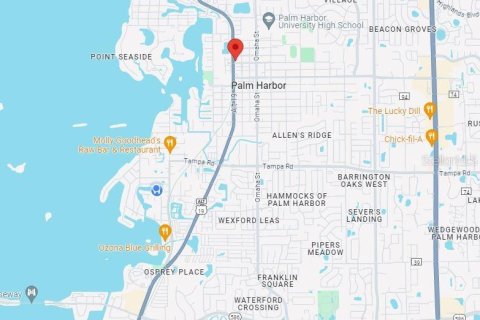 Propiedad comercial en alquiler en Palm Harbor, Florida, 661.84 m2 № 1881395 - foto 5