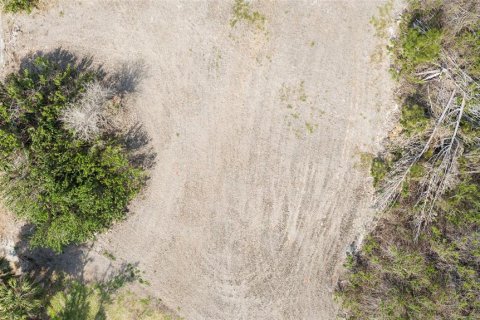 Terreno en venta en Placida, Florida № 1850091 - foto 3