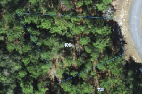 Land in Citrus Springs, Florida № 2388260