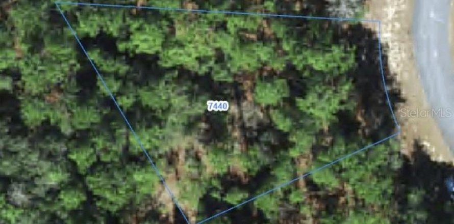 Land in Citrus Springs, Florida № 2388260
