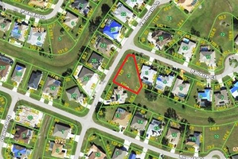 Land in Punta Gorda, Florida № 1581254 - photo 2