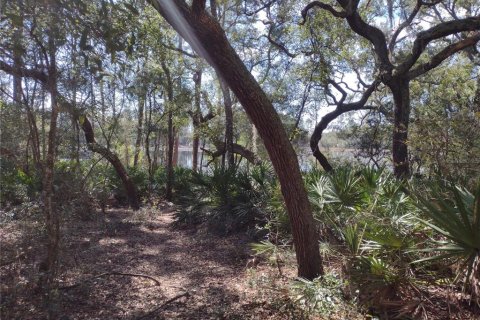 Land in Melrose, Florida № 2298684
