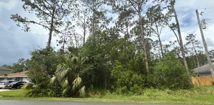Land in Palm Coast, Florida № 1832173