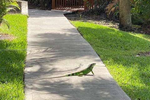 Снять в аренду кондоминиум в Санрайз, Флорида 2 спальни, 95.13м2, № 2005158 - фото 17