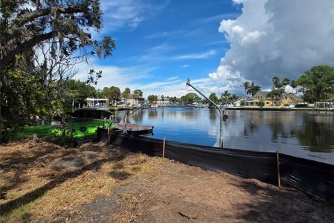 Terrain à New Port Richey, Floride № 2130668